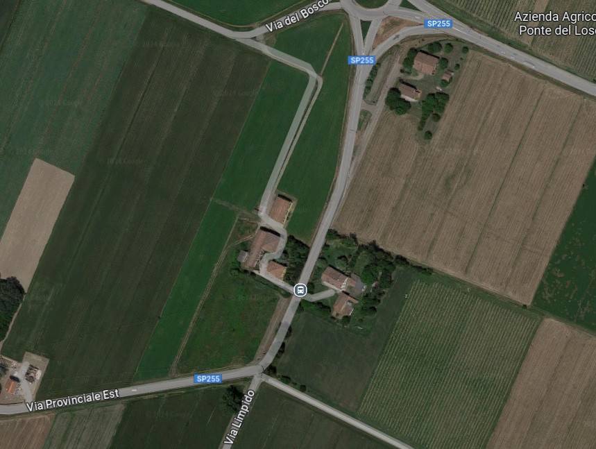 immagine annuncio 2 di 15