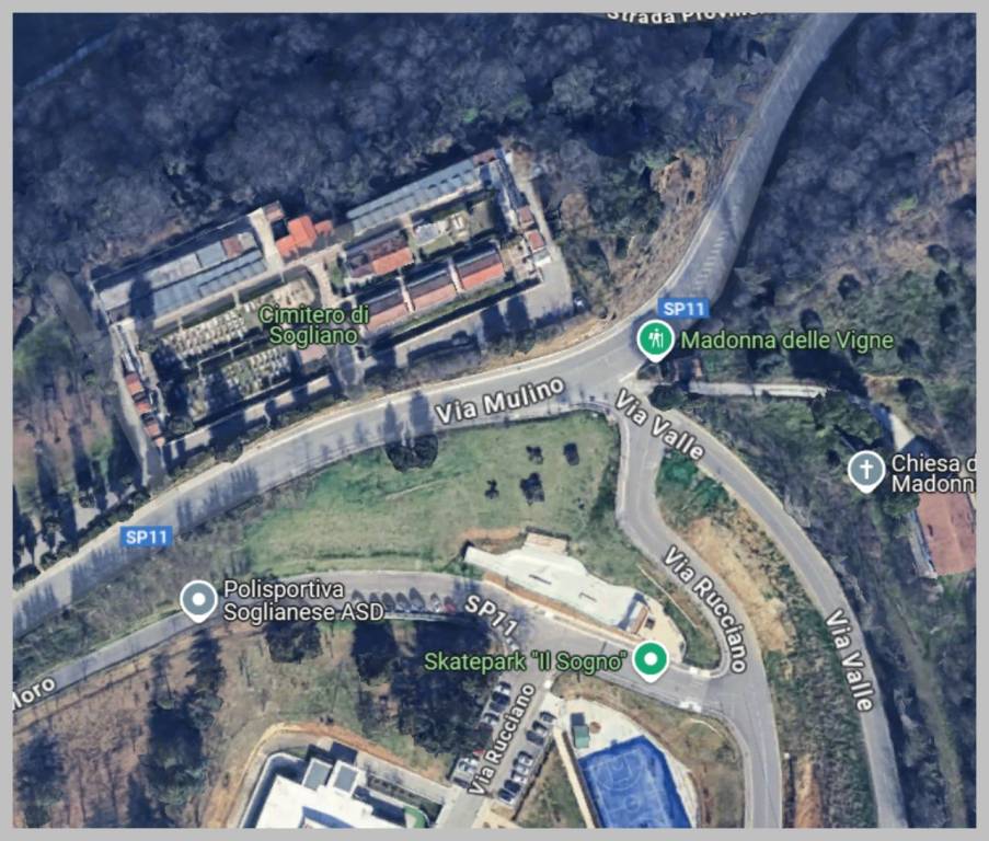 immagine annuncio 11 di 15