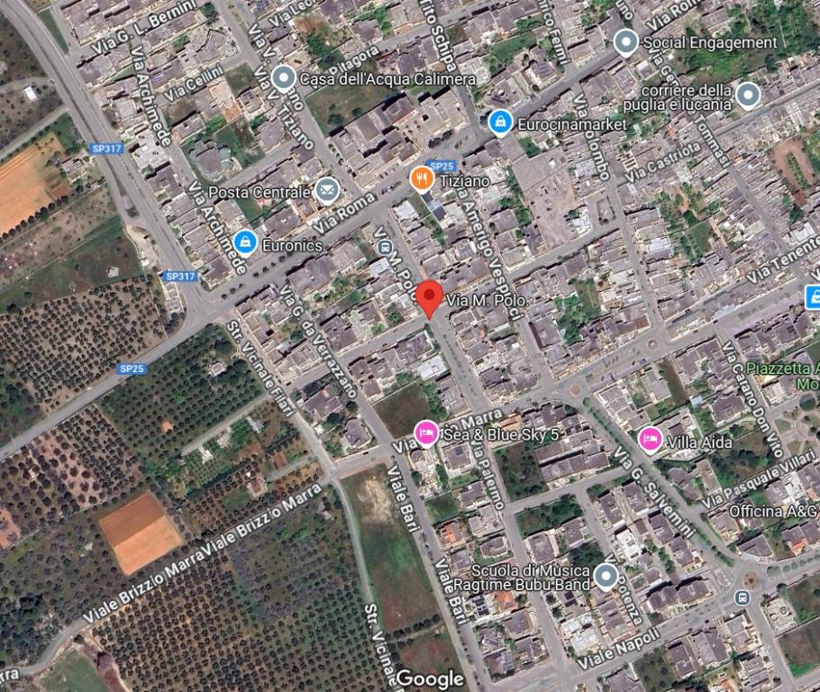 immagine annuncio 3 di 15