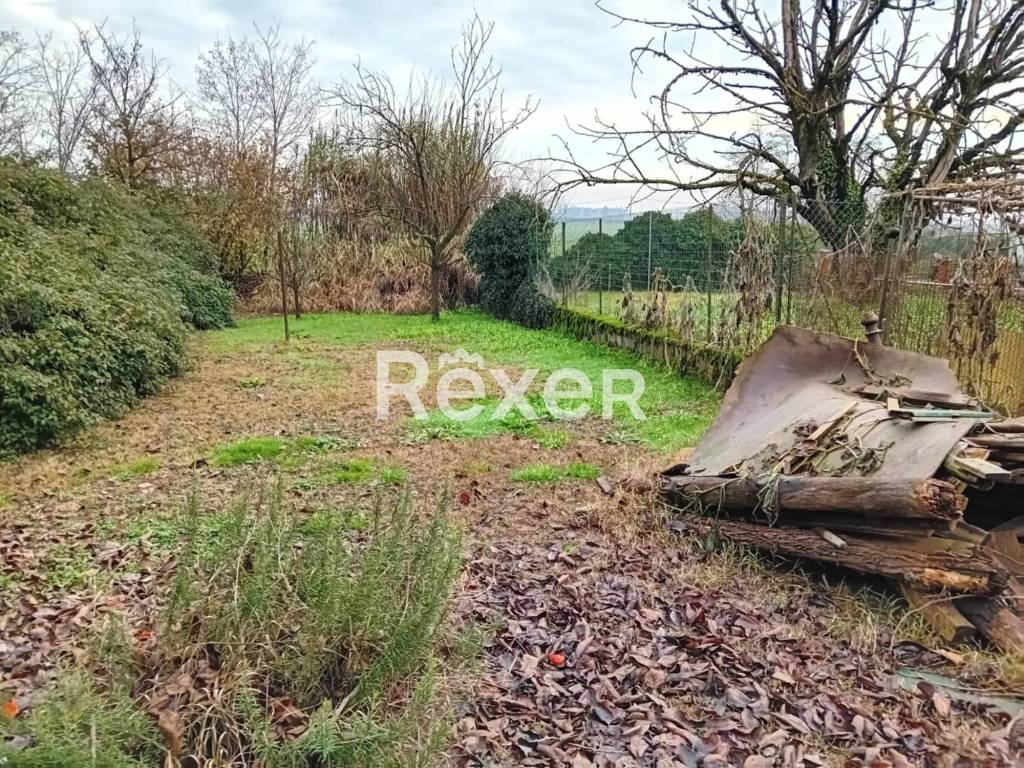 immagine annuncio 2 di 14