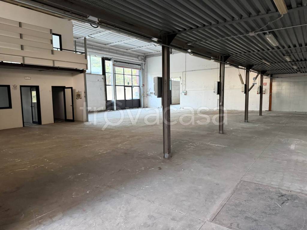 immagine annuncio 2 di 8