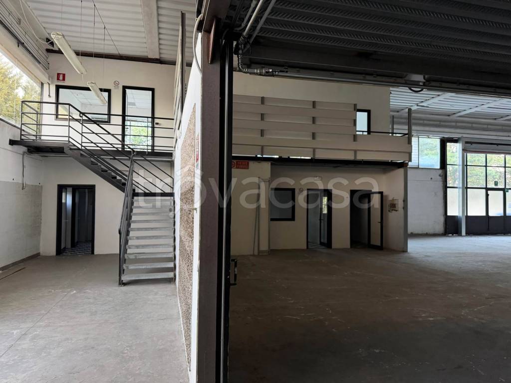 immagine annuncio 3 di 8