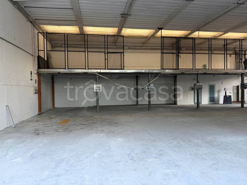 immagine annuncio 5 di 8