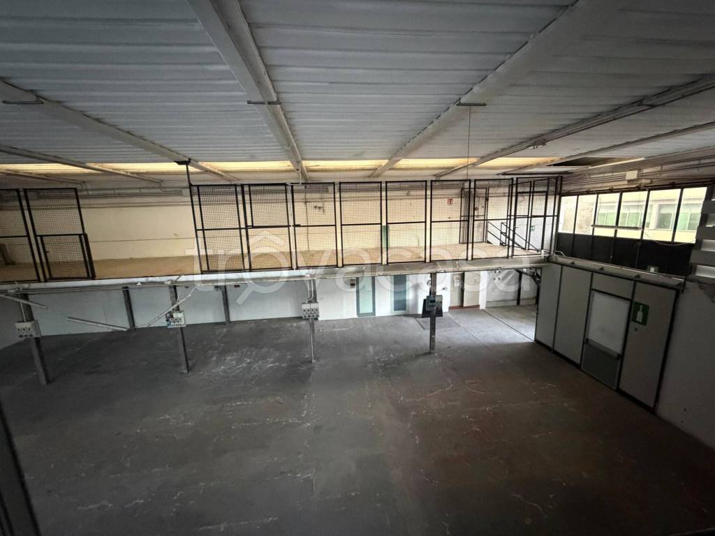 immagine annuncio 6 di 8