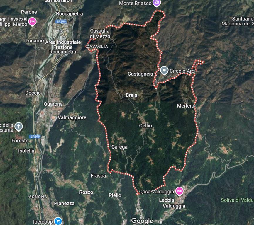 immagine annuncio 3 di 15