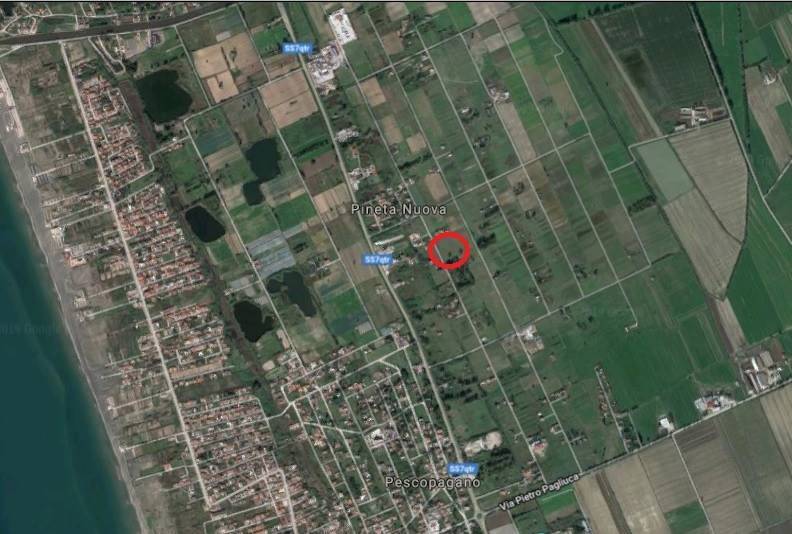 immagine annuncio 1 di 2