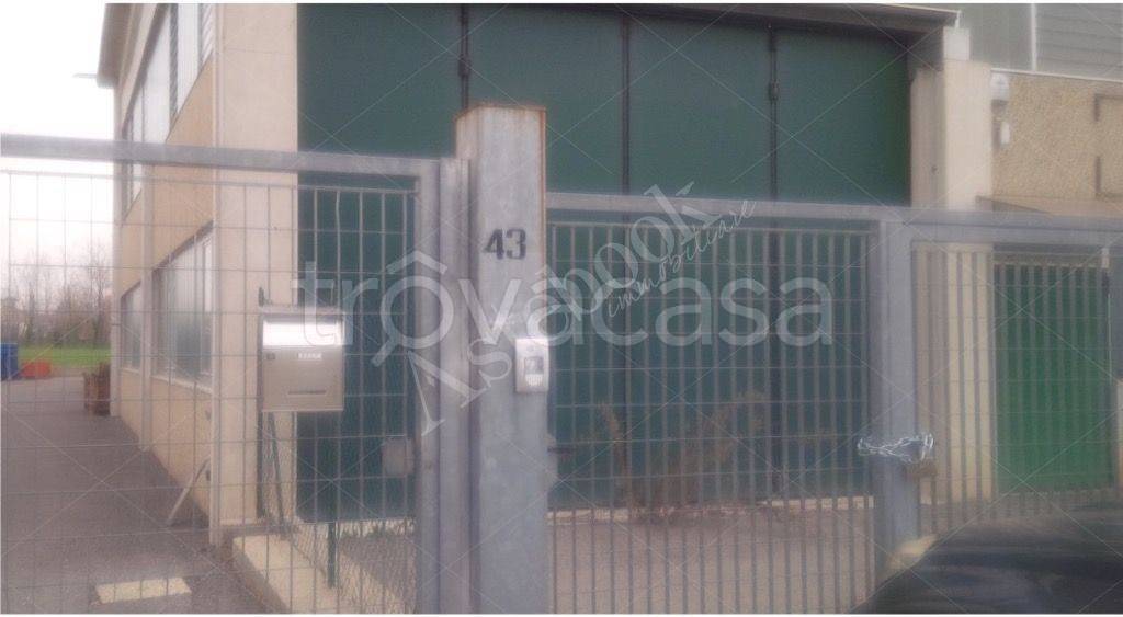 immagine annuncio 1 di 10