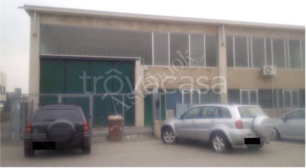 immagine annuncio 3 di 10