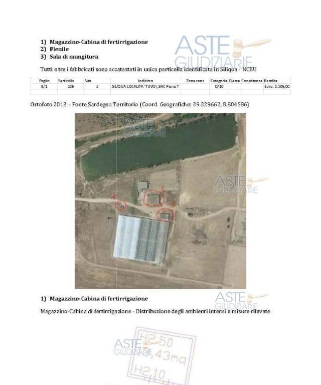 immagine annuncio 3 di 15