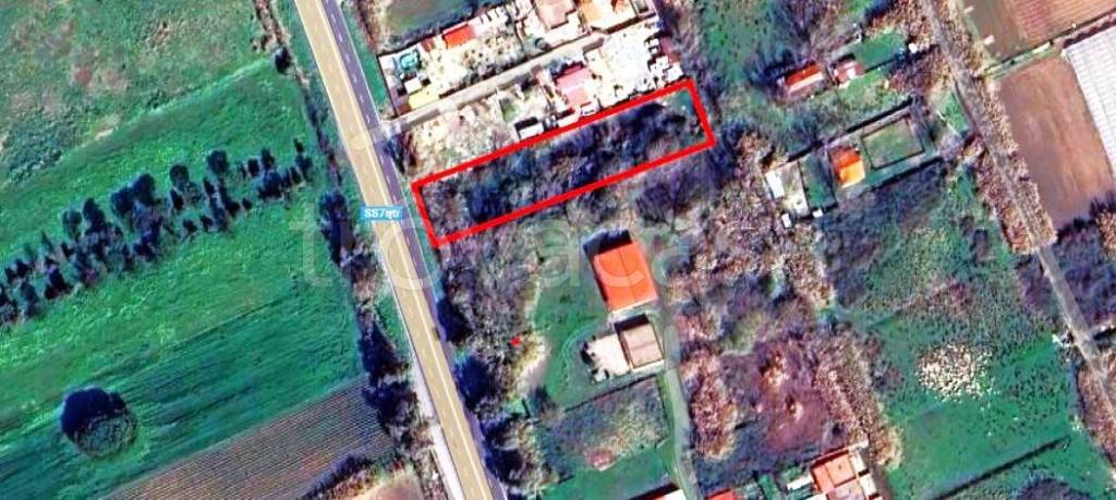 immagine annuncio 1 di 4