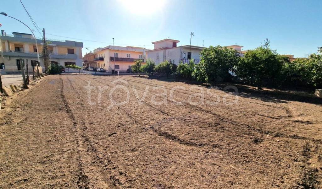 immagine annuncio 6 di 9