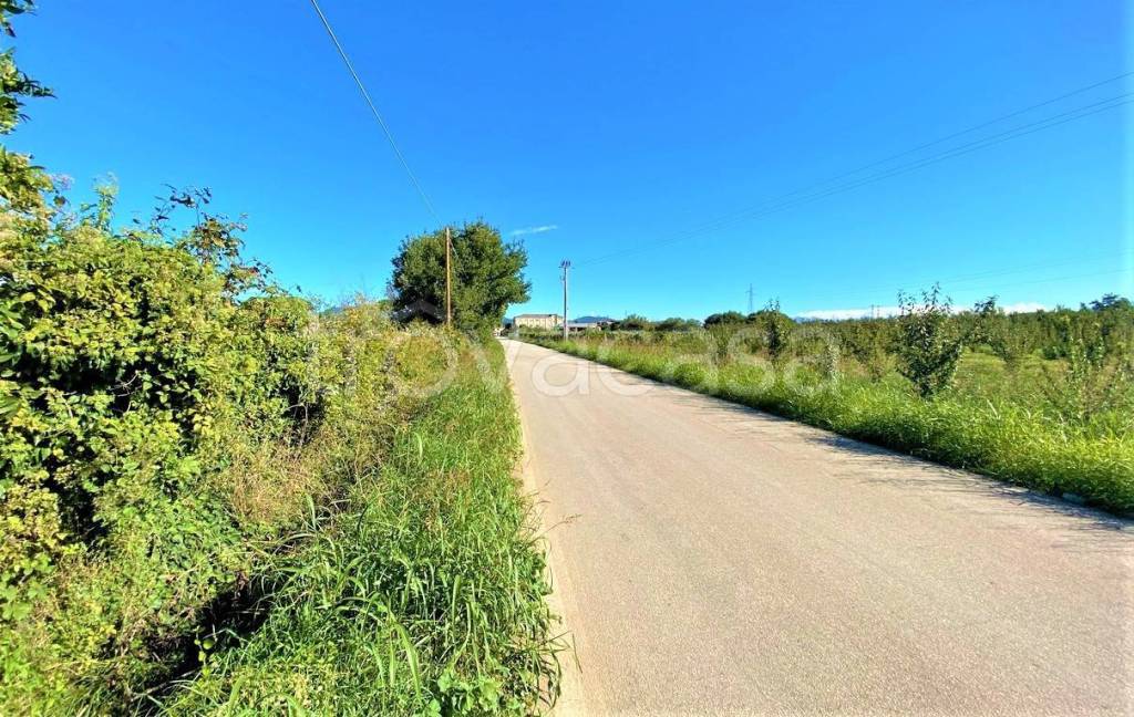 immagine annuncio 1 di 8