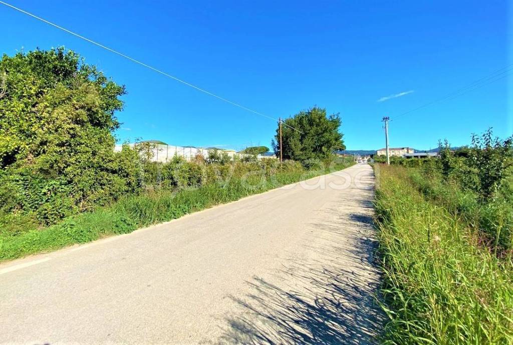 immagine annuncio 2 di 8