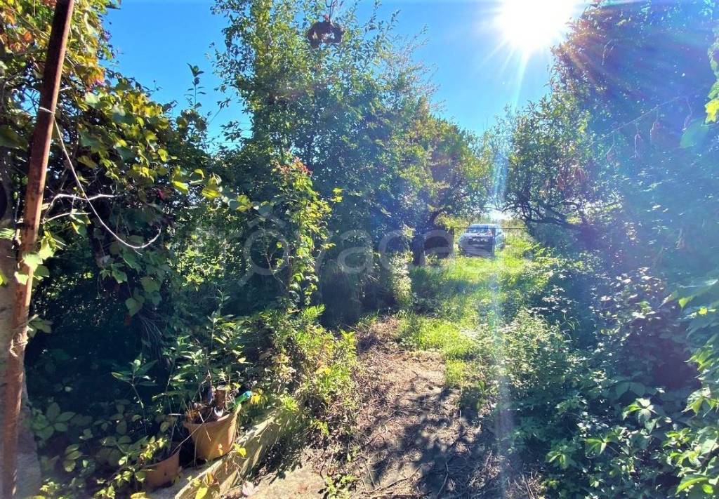 immagine annuncio 3 di 8