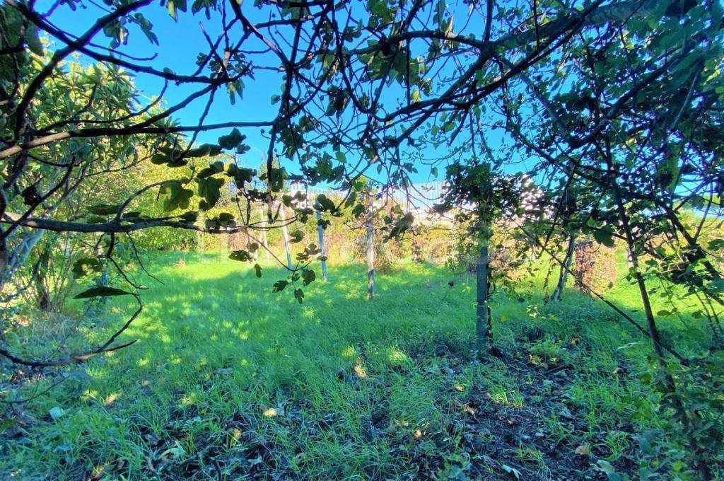 immagine annuncio 5 di 8