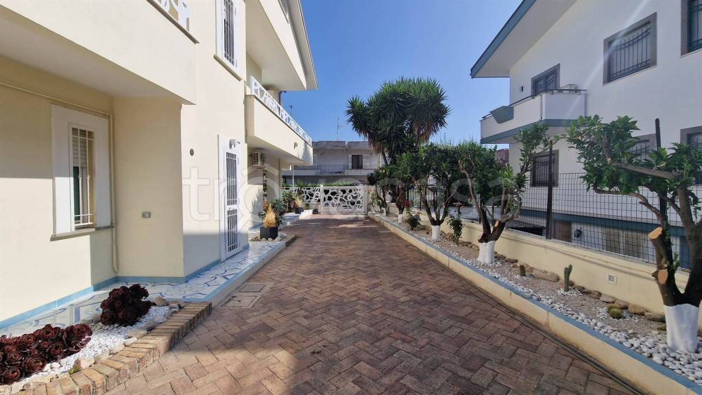 immagine annuncio 4 di 14