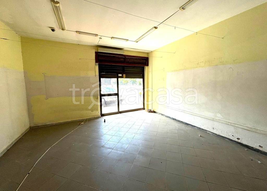 immagine annuncio 5 di 7