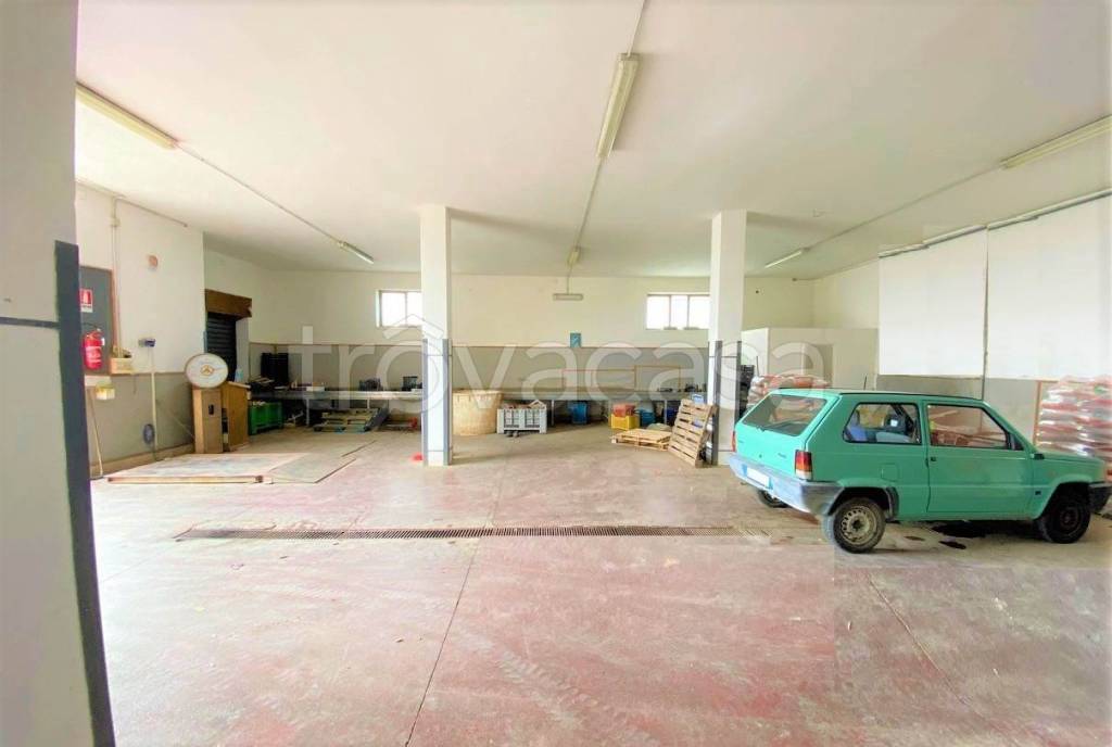 immagine annuncio 1 di 8