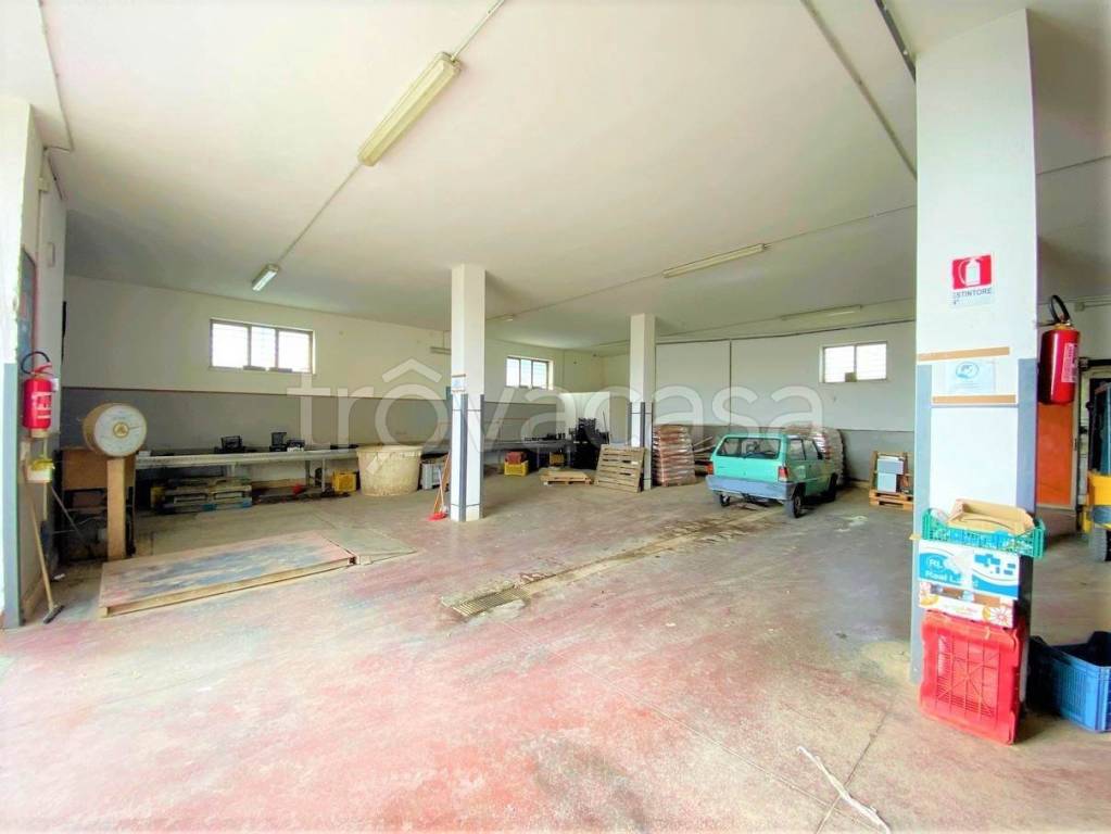 immagine annuncio 2 di 8