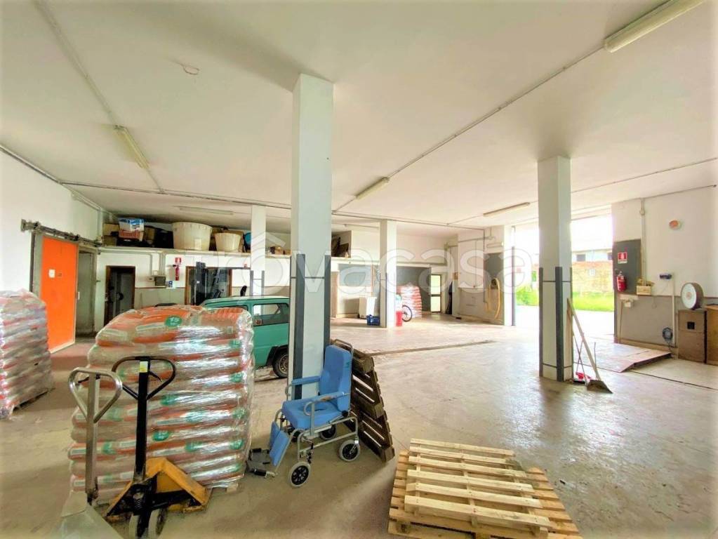 immagine annuncio 3 di 8