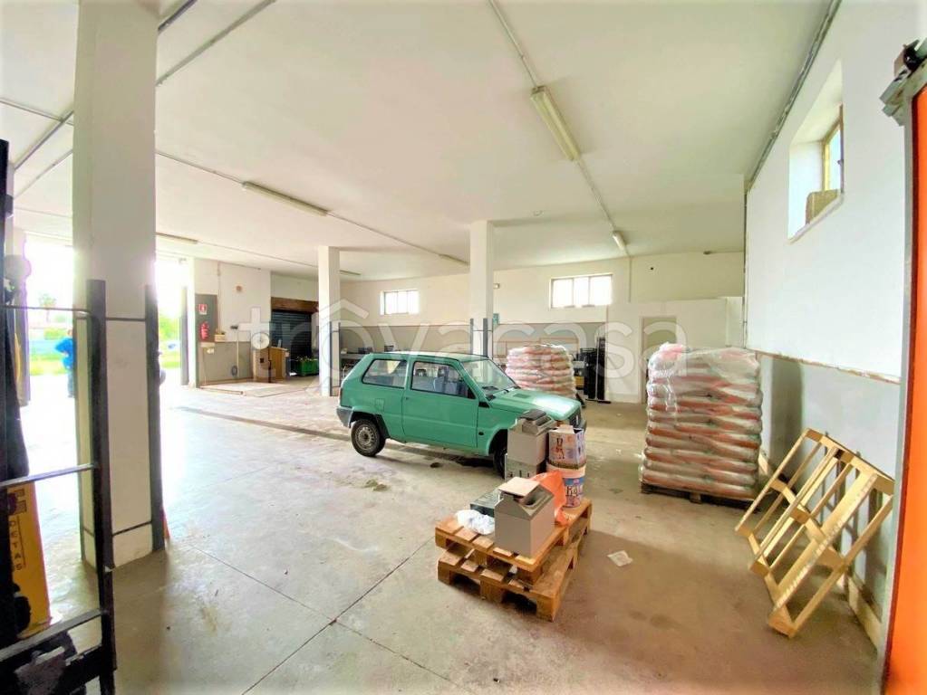 immagine annuncio 4 di 8