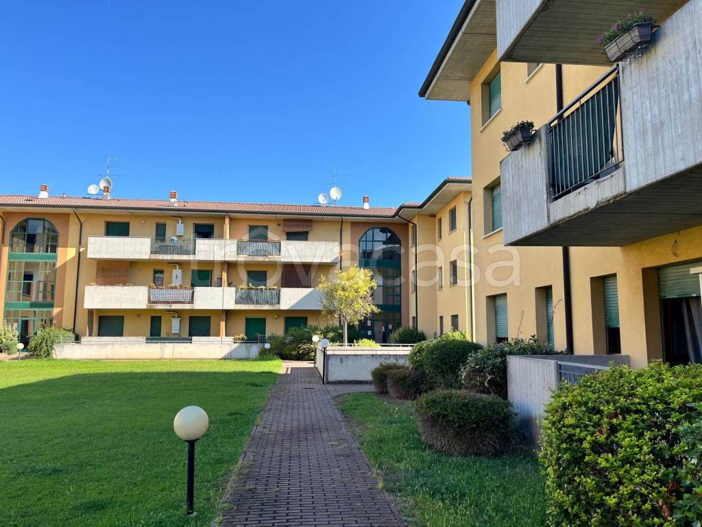 immagine annuncio 1 di 9