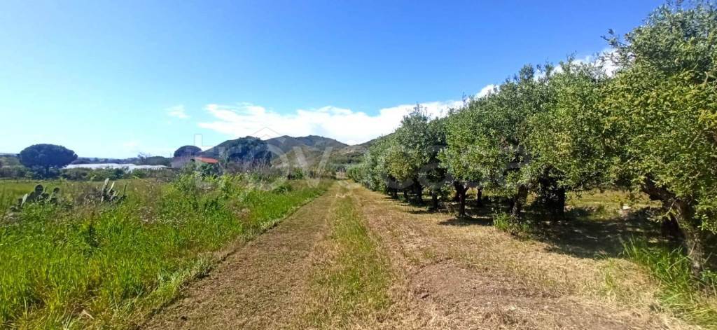 immagine annuncio 4 di 7