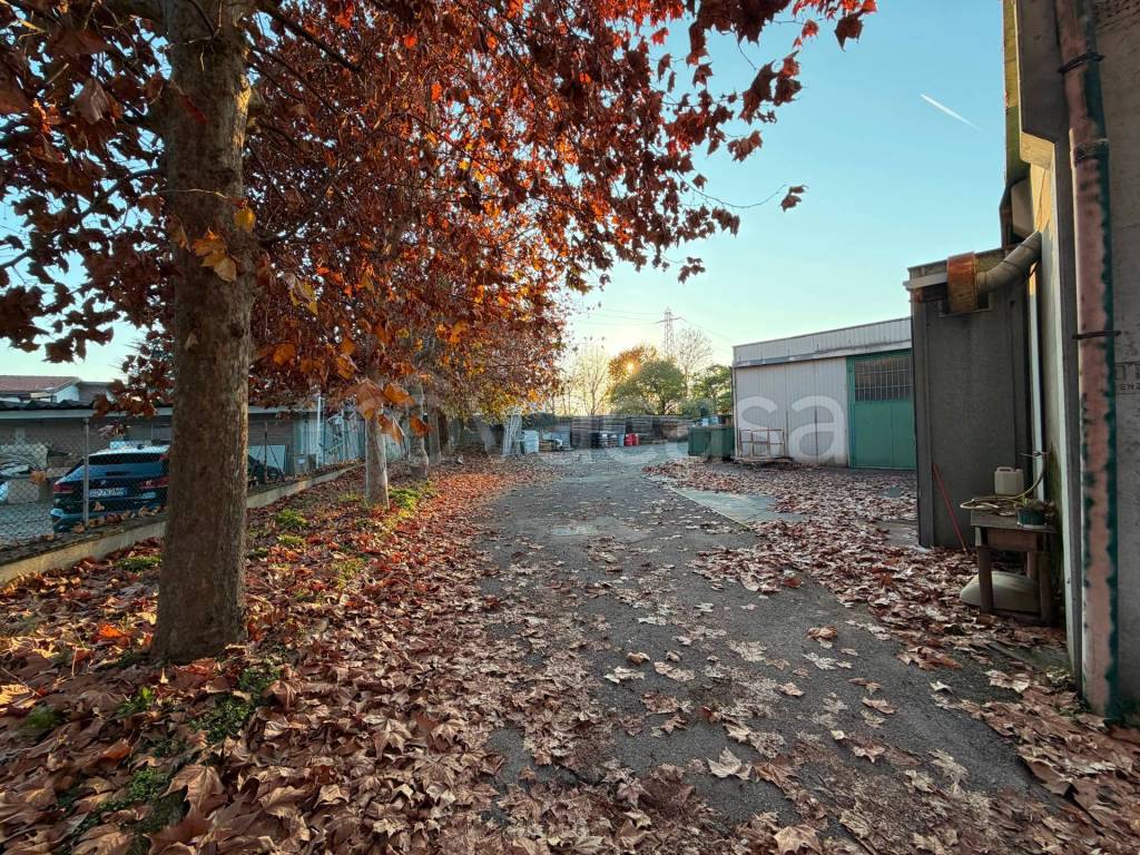 immagine annuncio 5 di 15