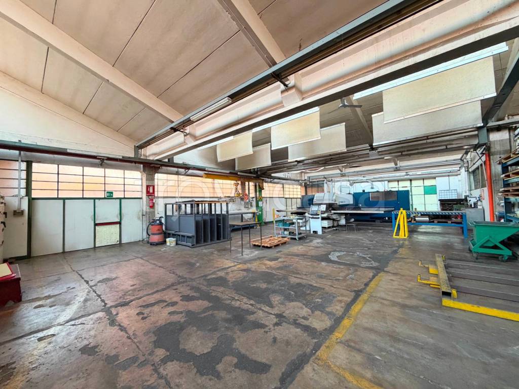 immagine annuncio 6 di 15