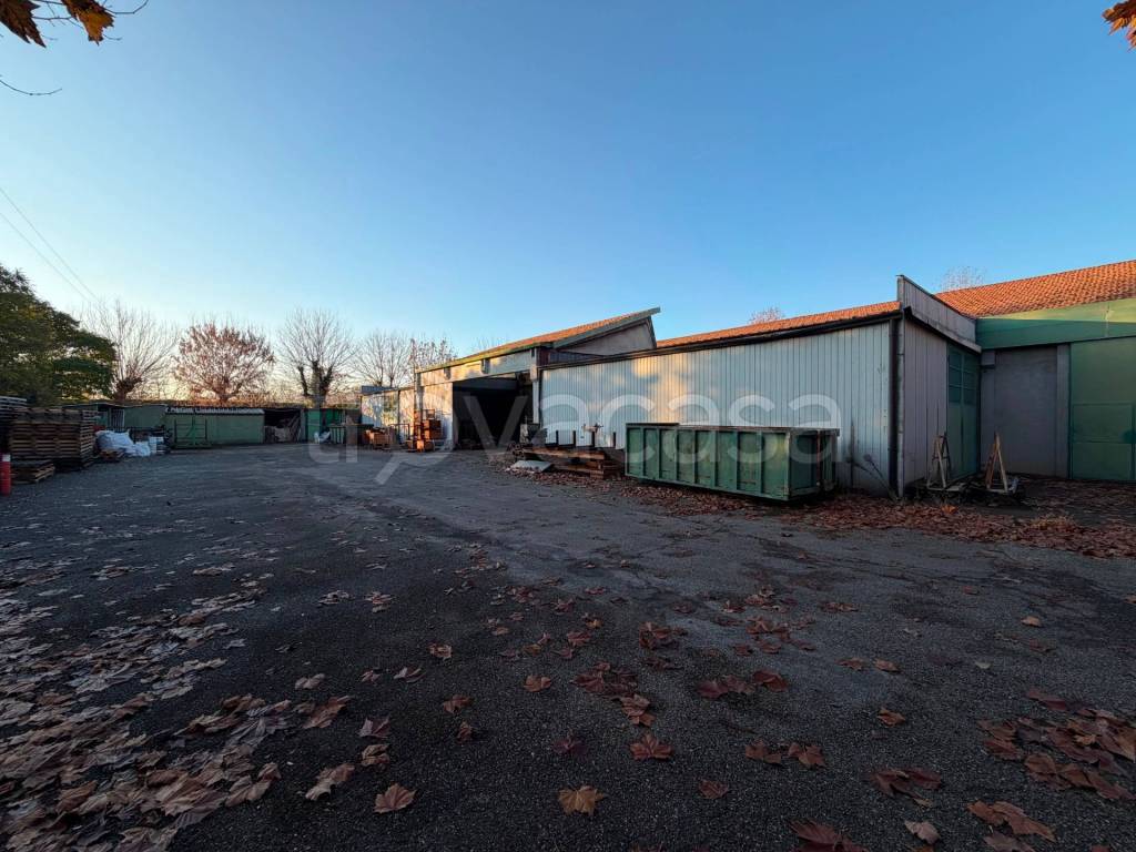 immagine annuncio 12 di 15