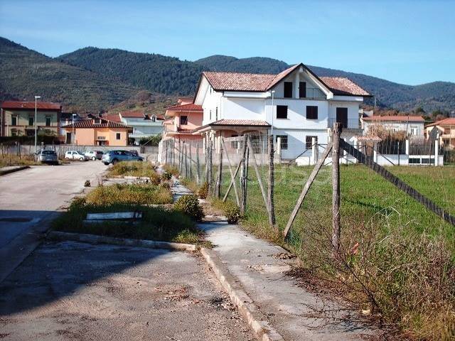 immagine annuncio 4 di 6