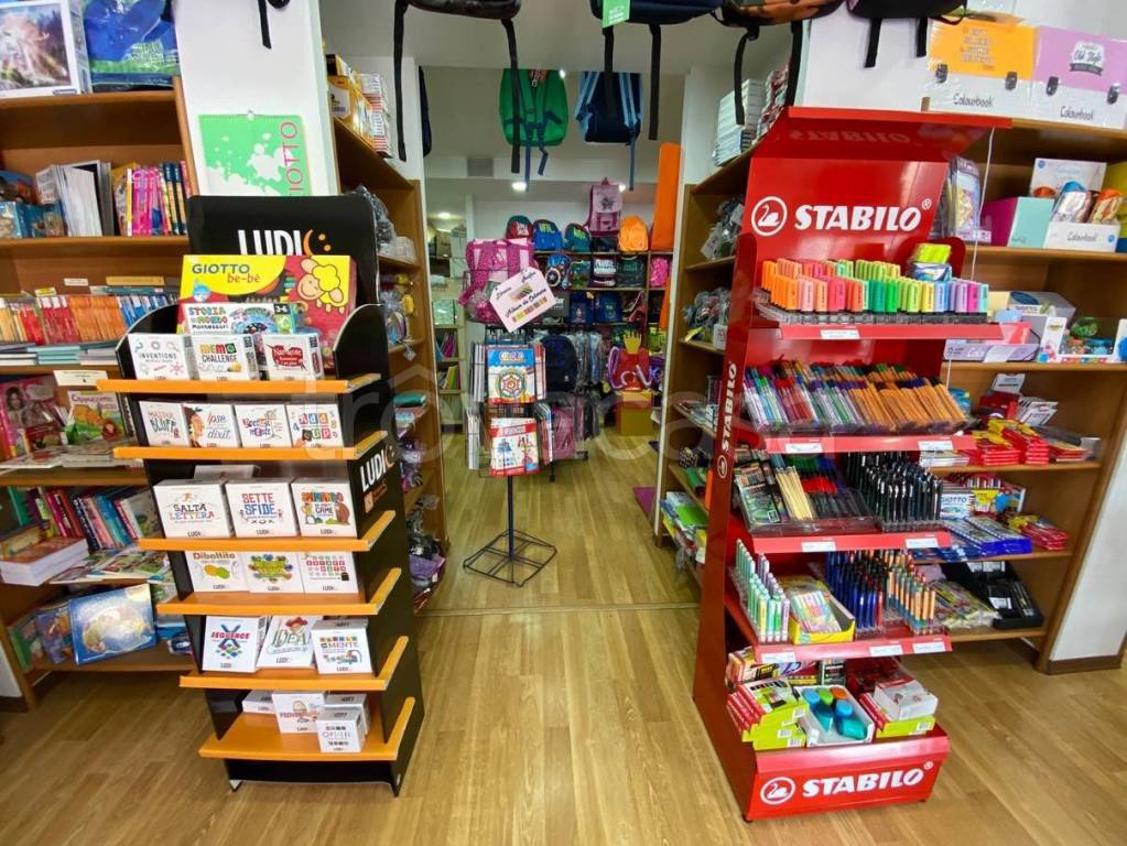 immagine annuncio 5 di 13