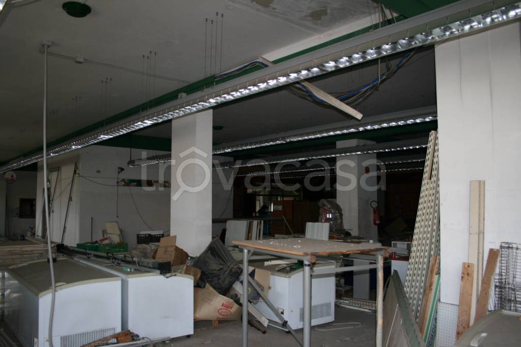 immagine annuncio 2 di 8