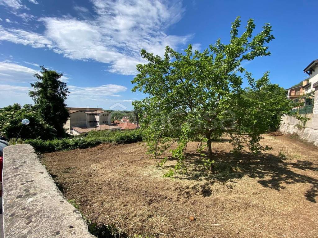 immagine annuncio 5 di 8