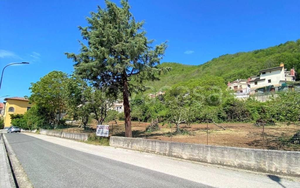 immagine annuncio 7 di 8