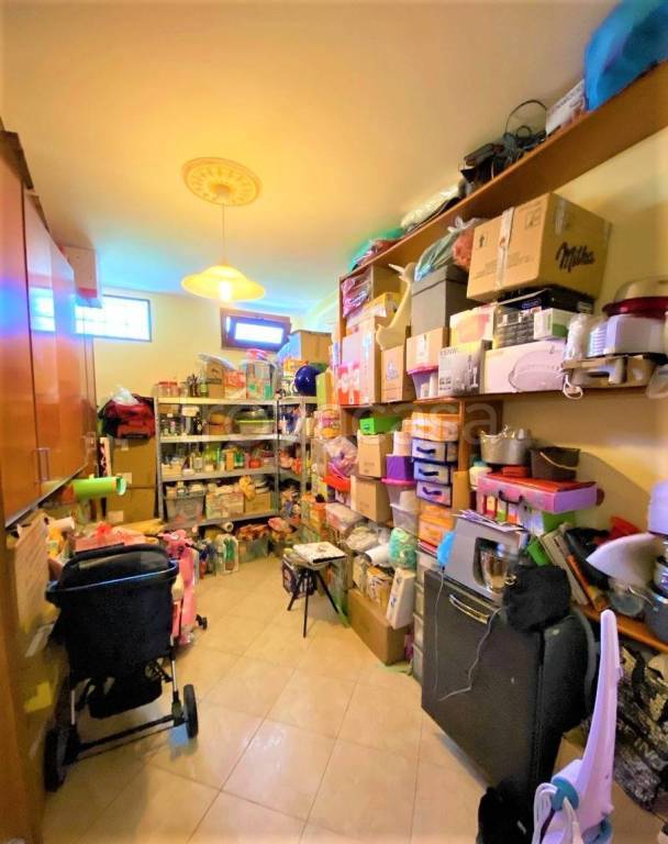 immagine annuncio 12 di 14