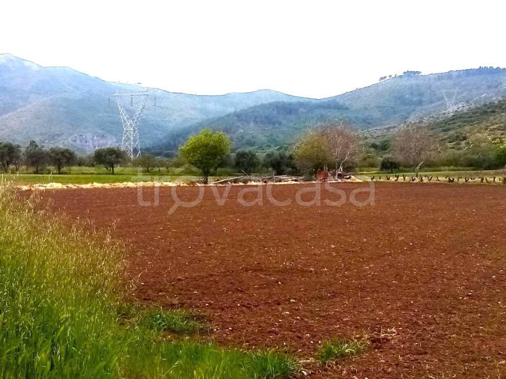 immagine annuncio 4 di 8