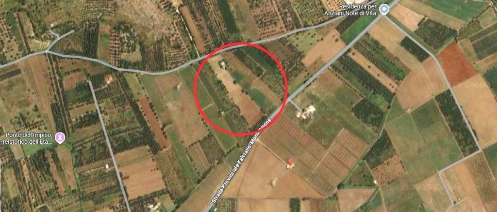 immagine annuncio 5 di 8