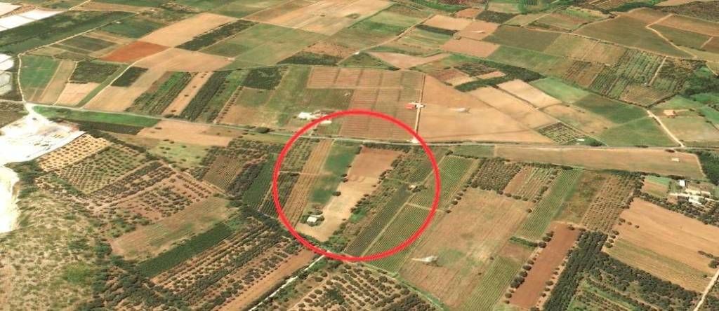 immagine annuncio 6 di 8