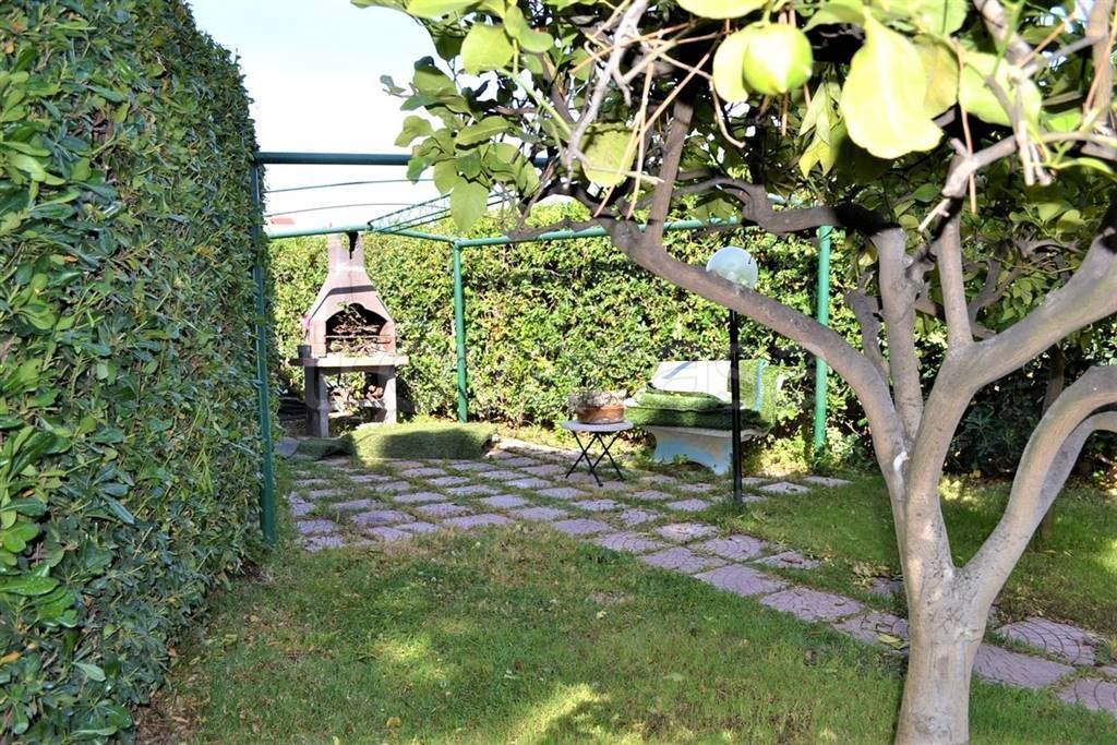 immagine annuncio 3 di 14