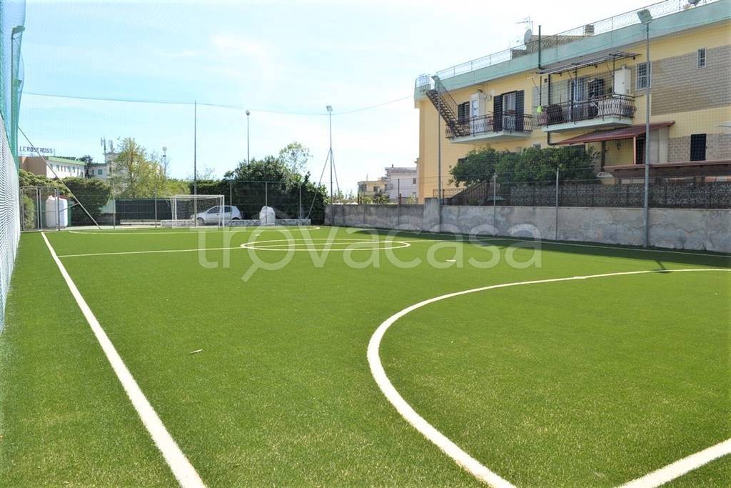 immagine annuncio 7 di 14