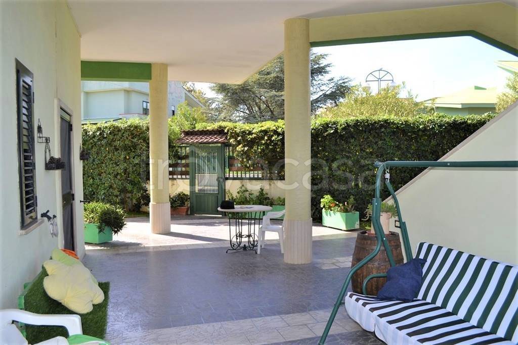 immagine annuncio 11 di 14