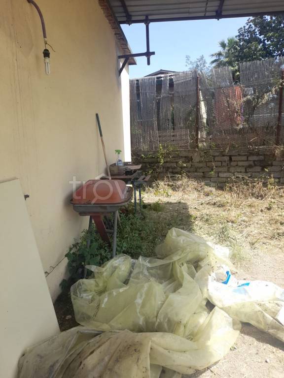 immagine annuncio 2 di 12