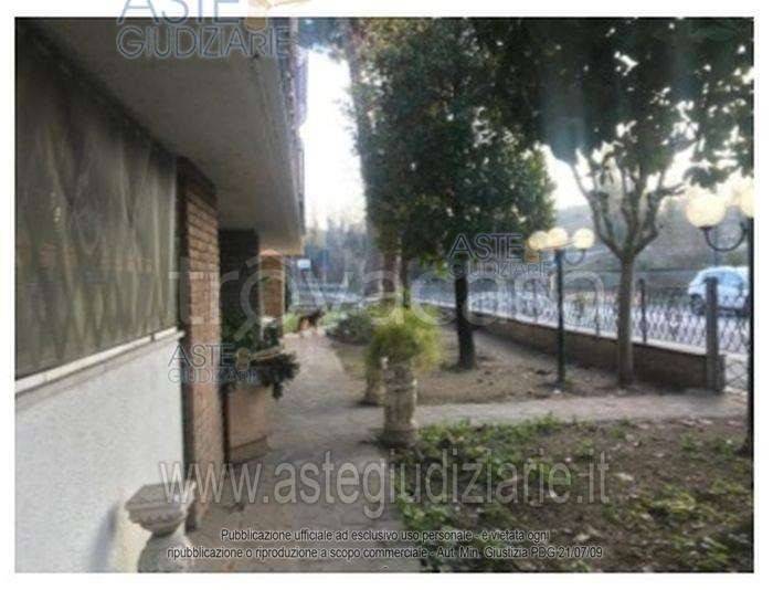 immagine annuncio 1 di 14