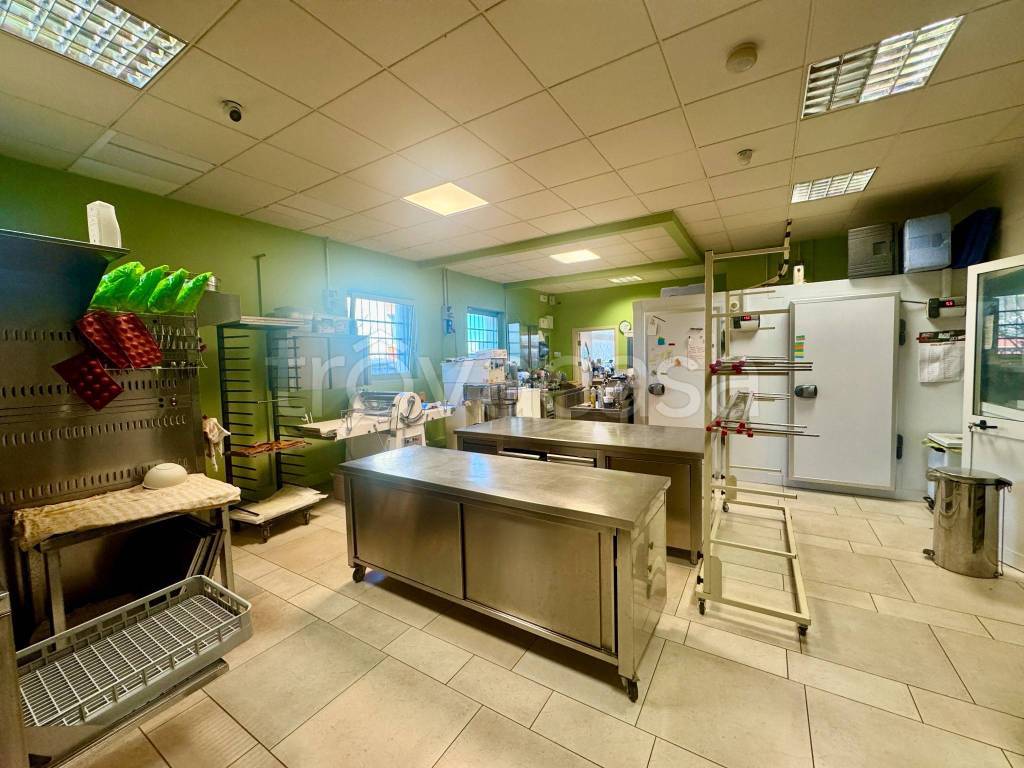 immagine annuncio 6 di 14