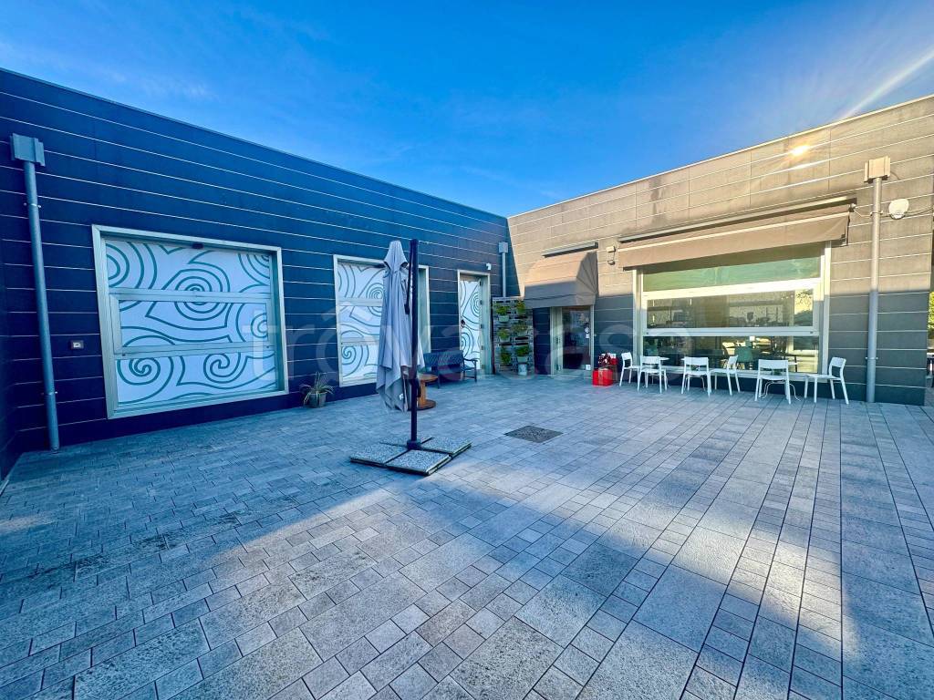 immagine annuncio 10 di 14