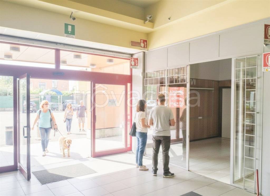 immagine annuncio 1 di 7