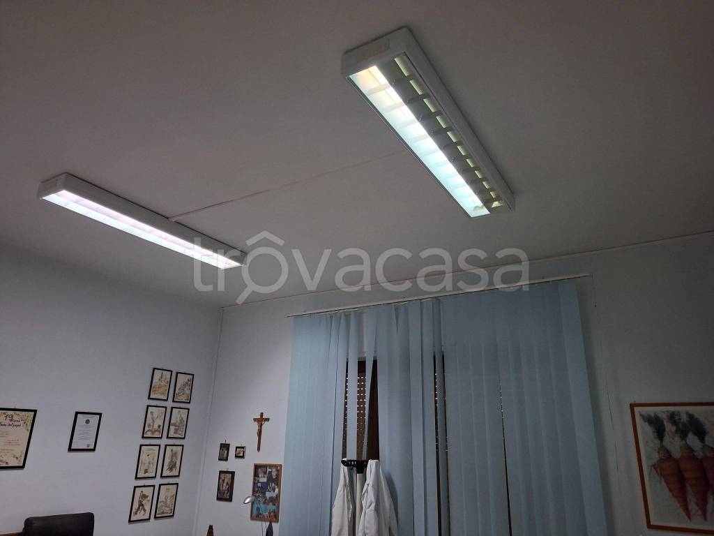 immagine annuncio 3 di 7