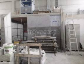 immagine annuncio 4 di 12