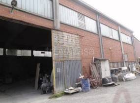 immagine annuncio 5 di 12